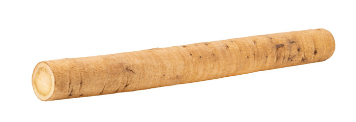 burdock roots or kobo isolated on transparent png