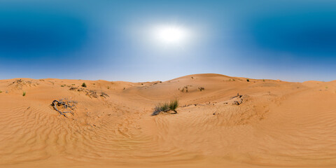 Fototapeta na wymiar Dubai_desert_1