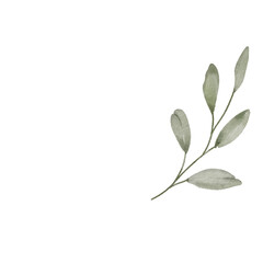 Fototapeta na wymiar Eucalyptus Greenery Watercolor