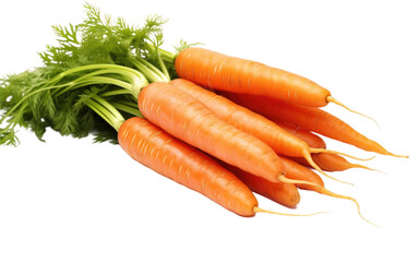Carrot Beauty On Transparent Background