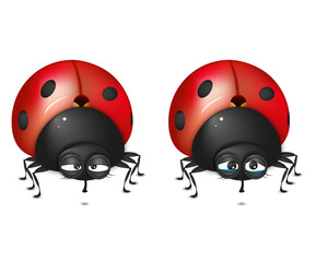 Fototapeta premium Cute ladybug illustration