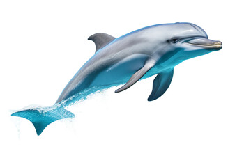 Dolphin Isolated on Transparent Background. Ai