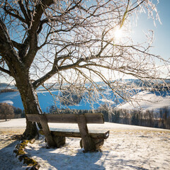 winter landscape sunny day with tree and bench