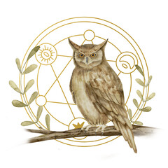Mystical Owl Watercolor illustration. Hand drawn magical print on isolated background. Drawing of night bird and pentagram. Painting of fantasy sketch. For the design of esoteric cards and stickers.
