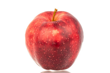 One ripe juicy apple, macro, isolated on white background.