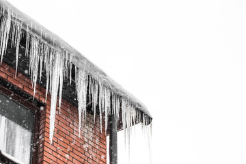 Carefully. Danger. Beautiful sharp icicles and snow hang from the eaves of the roof. Transparent...
