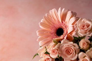 Gerbera fresh flower and roses over pink background. Abstract floral wallpaper, copy space