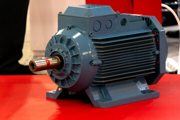 Three-phase asynchronous electric motor for general industrial use.