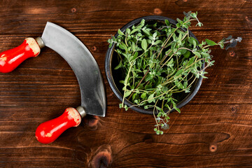 Fresh marjoram, medicinal herb.