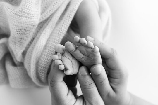 Children's foot in the hands of mother, father, parents. Feet of a tiny newborn close up. Little baby legs. Mom and her child. Happy family concept. Black and white image of motherhood stock photo. 
