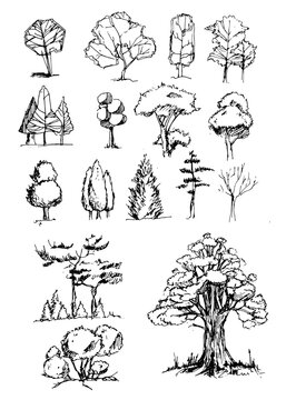 Set of hand drawn architect trees. Sketch Architectural illustration landscape. Silhoutte of trees on a white background