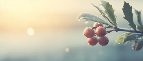 Fotobehang Close-up of frozen dew drops on healthy red rosehip berries. A cool sunny day. Winter nature concept. © AI Studio
