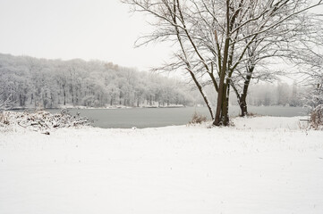 White snow field with brown trees in front of forest lake in frozen ice. Winter