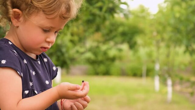 A child holds a ladybug in the garden. Selective focus.