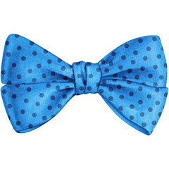 watercolor hand drawn cute silk bow
