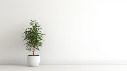 A minimalistic white room with a single potted green plant in the corner, offering a refreshing and natural copy space