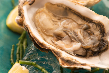 Fresh oyster with Marsh Samphire
