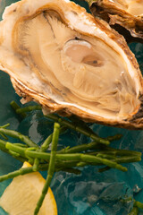 Fresh oyster with Marsh Samphire