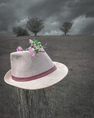 Hut mit Blumen hängt an Zaunpfahl 