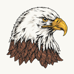 Bald eagle colorful vintage emblem