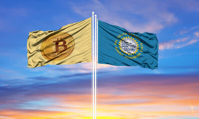 Bitcoin and South Dakota two flags on flagpoles and blue sky.