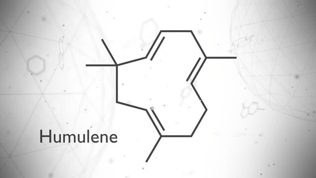 Humulene, alpha-humulene or alpha-caryophyllene molecule. It is component of the essential oil from flowering cone of hops plant, Humulus lupulus. Skeletal chemical formula.
