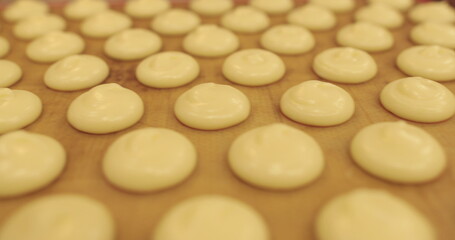 Fototapeta na wymiar Beautiful and even rows of squeezed cream for cooking in the oven. Pastry cooking