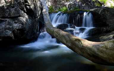 waterfalls of cedar creek Australia QLD