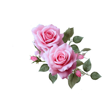 Isolated rose flowers for creativity photo