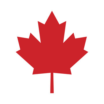 red maple leaf canada vector icon design