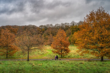 Mother and daughter sitting on a bench in St. Catherines Park. Beautiful trees and forest in vibrant autumn colours, Dublin, Ireland