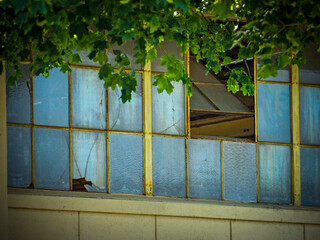 Cracked window of an aged building with the shattered glass pieces scattered on the sill