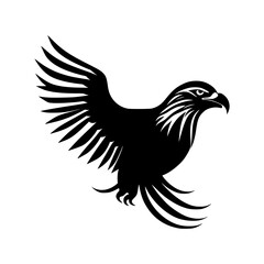 Fototapeta na wymiar eagle head illustration