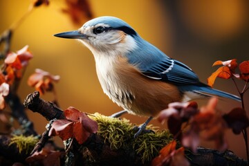 bird photography, a nuthatch climbing down on a tree, soft natural morning light, soft background with bokeh (AI Generator)