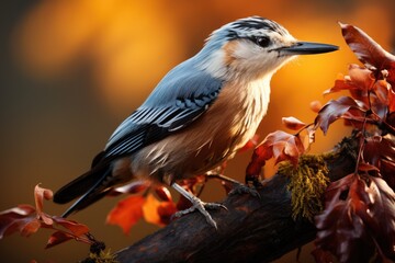 bird photography, a nuthatch climbing down on a tree, soft natural morning light, soft background with bokeh (AI Generator)