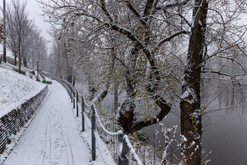 Evening snowy Nature with Trees around River Vltava, Holesovice, the most cool Prague District, Czech Republic