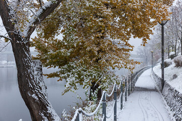 Evening snowy Nature with Trees around River Vltava, Holesovice, the most cool Prague District,...