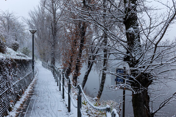Evening snowy Nature with Trees around River Vltava, Holesovice, the most cool Prague District, Czech Republic