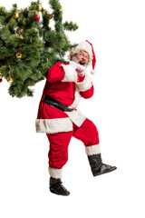 Happy smiling senior man in image of Santa Claus carrying Christmas tree isolated on transparent background. Concept of winter holidays, Christmas and New Year, celebration, merry time