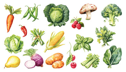 Watercolor painted collection of vegetables and fruits. Hand drawn fresh food design elements isolated on white background.