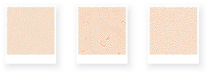 Set of picture cards with natural coral pattern, peach fuzz reaction diffusion ornament.