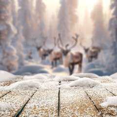 Empty mockup background of cold winter time. Blurred background with reindeers. Landscape of winter...