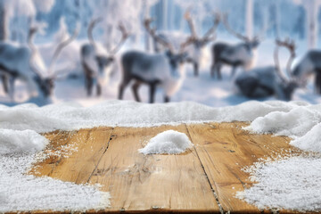 Empty mockup background of cold winter time. Blurred background with reindeers. Landscape of winter...