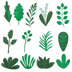 vector hand drawn green leaf design set