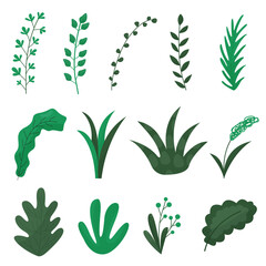 vector hand drawn green leaf design set