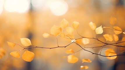 Delicate autumn setting with yellow leaves gently blurred and harmonious bokeh background, AI Generated