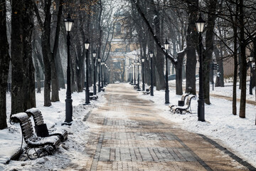 Alley in the winter city park