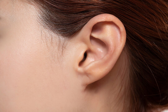 close up of ear