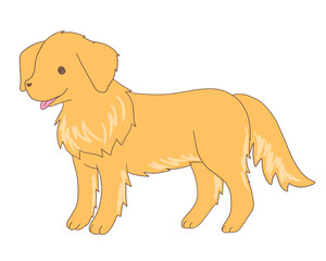 ゴールデンレトリーバー