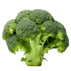 broccoli isolated on transparent. green broccoli